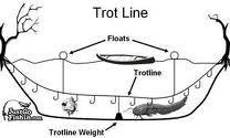 best seo like trotline fishing