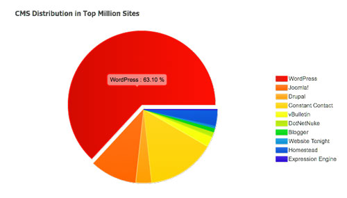 WordPress as CMS